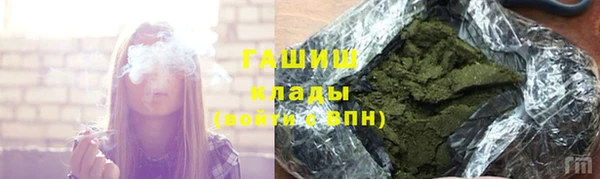 ECSTASY Алзамай