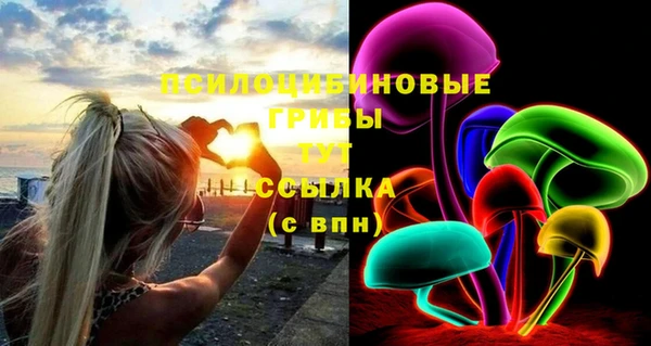 ECSTASY Алзамай