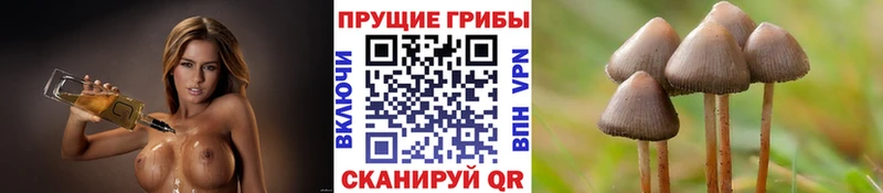 Псилоцибиновые грибы мухоморы  Болгар 